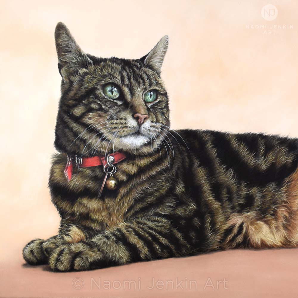 Bespoke cat portrait hand drawn by Naomi Jenkin Art