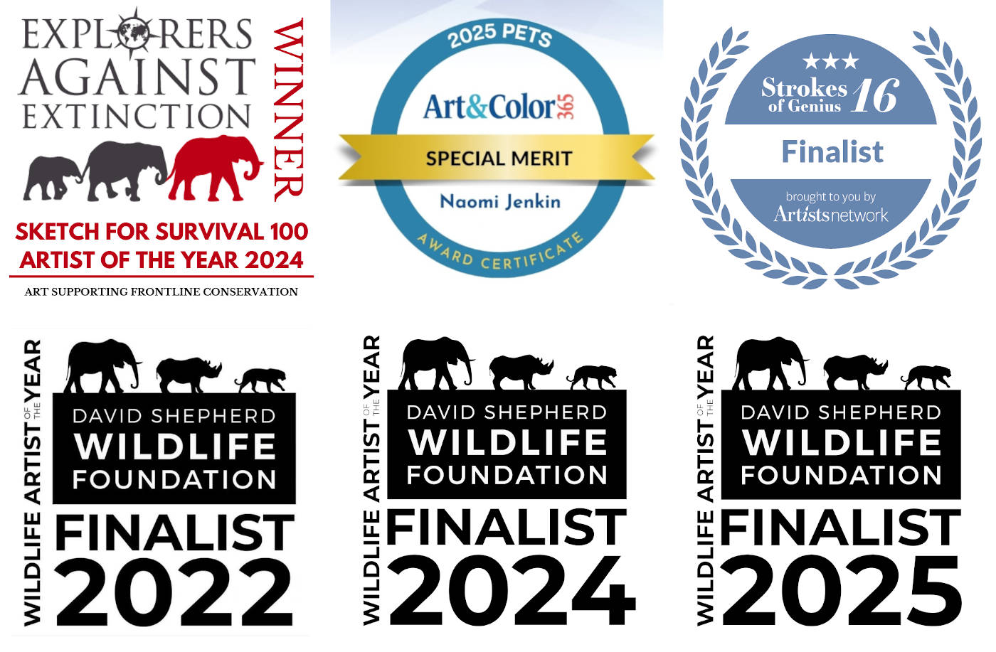 Award winning wildlife artist Naomi Jenkin