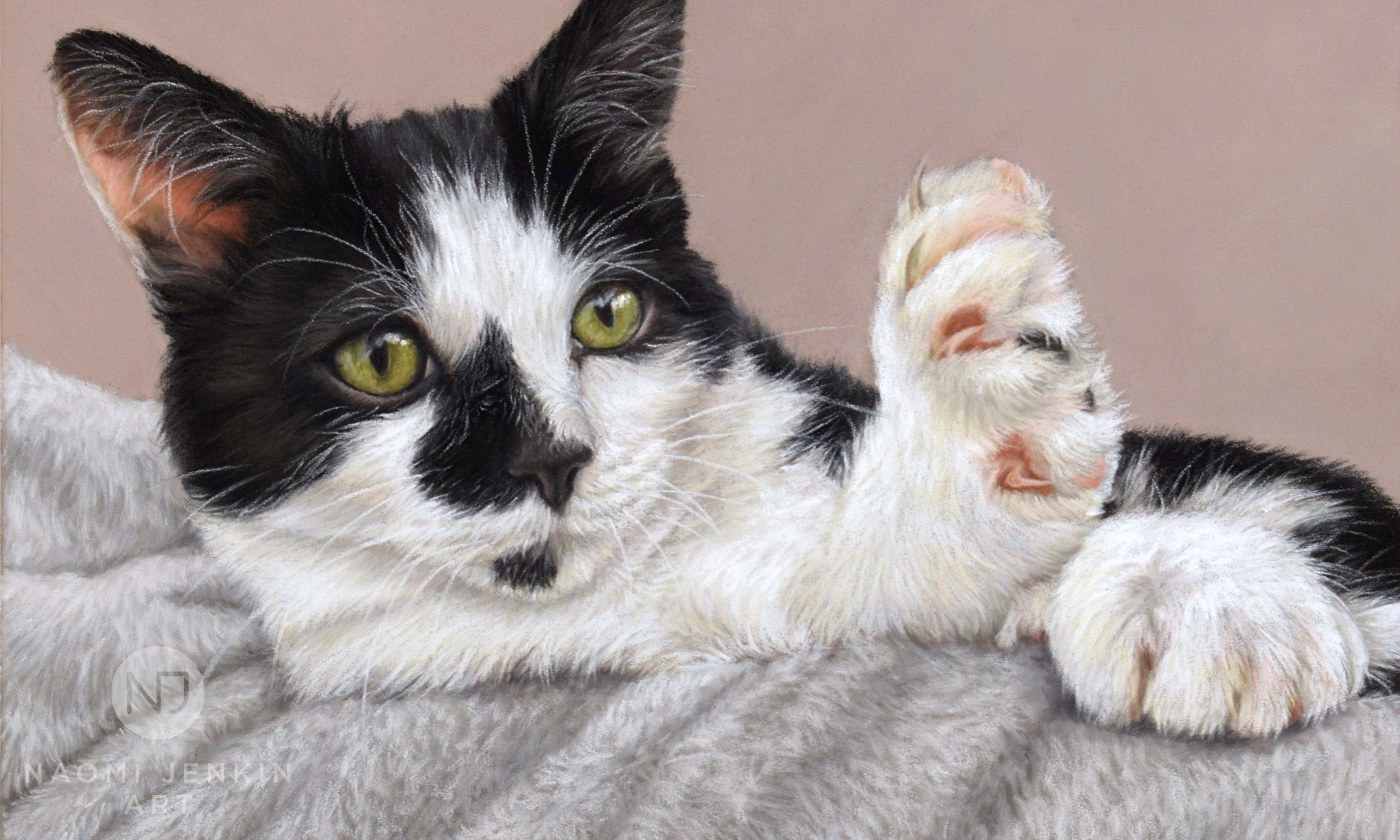 Portrait of Arlo the kitten