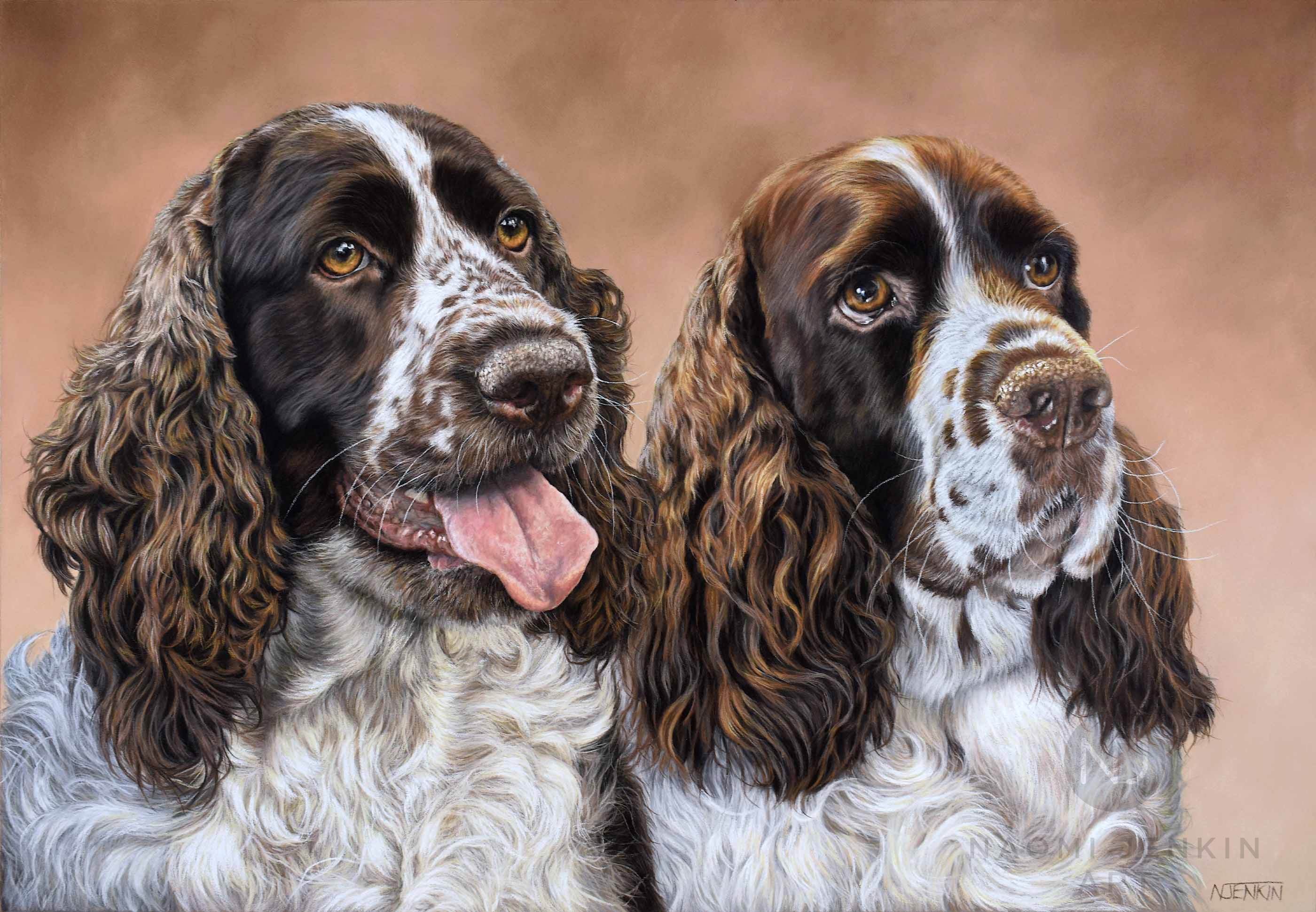 English Springer Spaniel portrait by pet portrait artist Naomi Jenkin Art. 