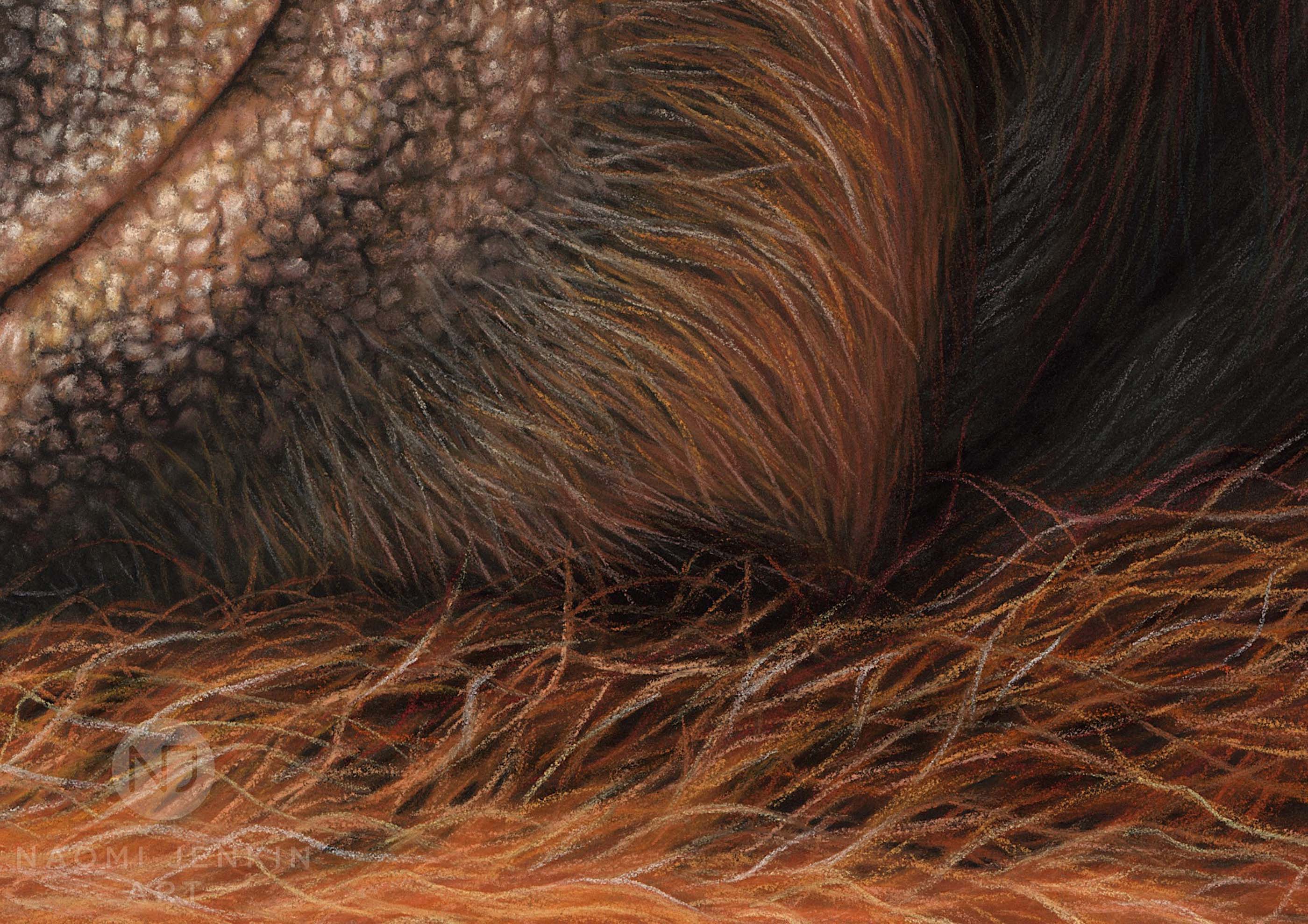 Close up of orangutan painting by wildlife artist Naomi Jenkin. 