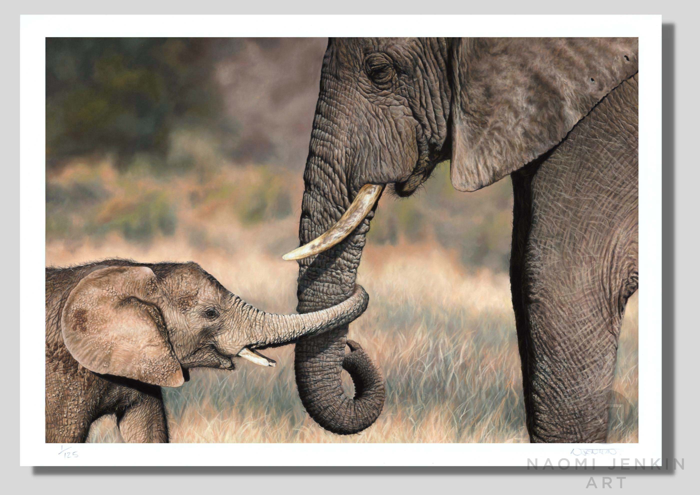 African elephant art by Naomi Jenkin Art. Limited edition fine art print of a mother and calf. 