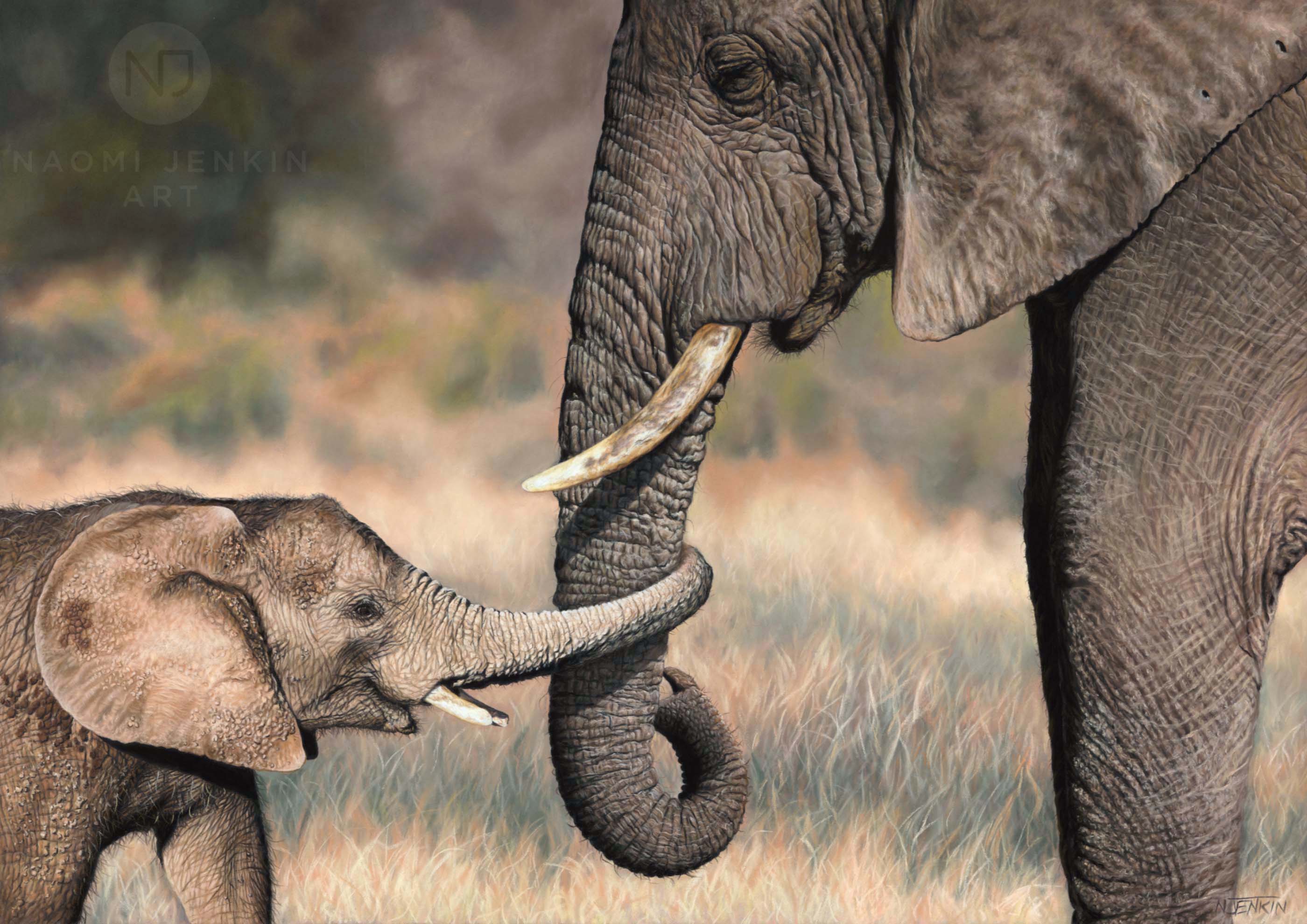 African elephant painting by wildlife artist Naomi Jenkin.