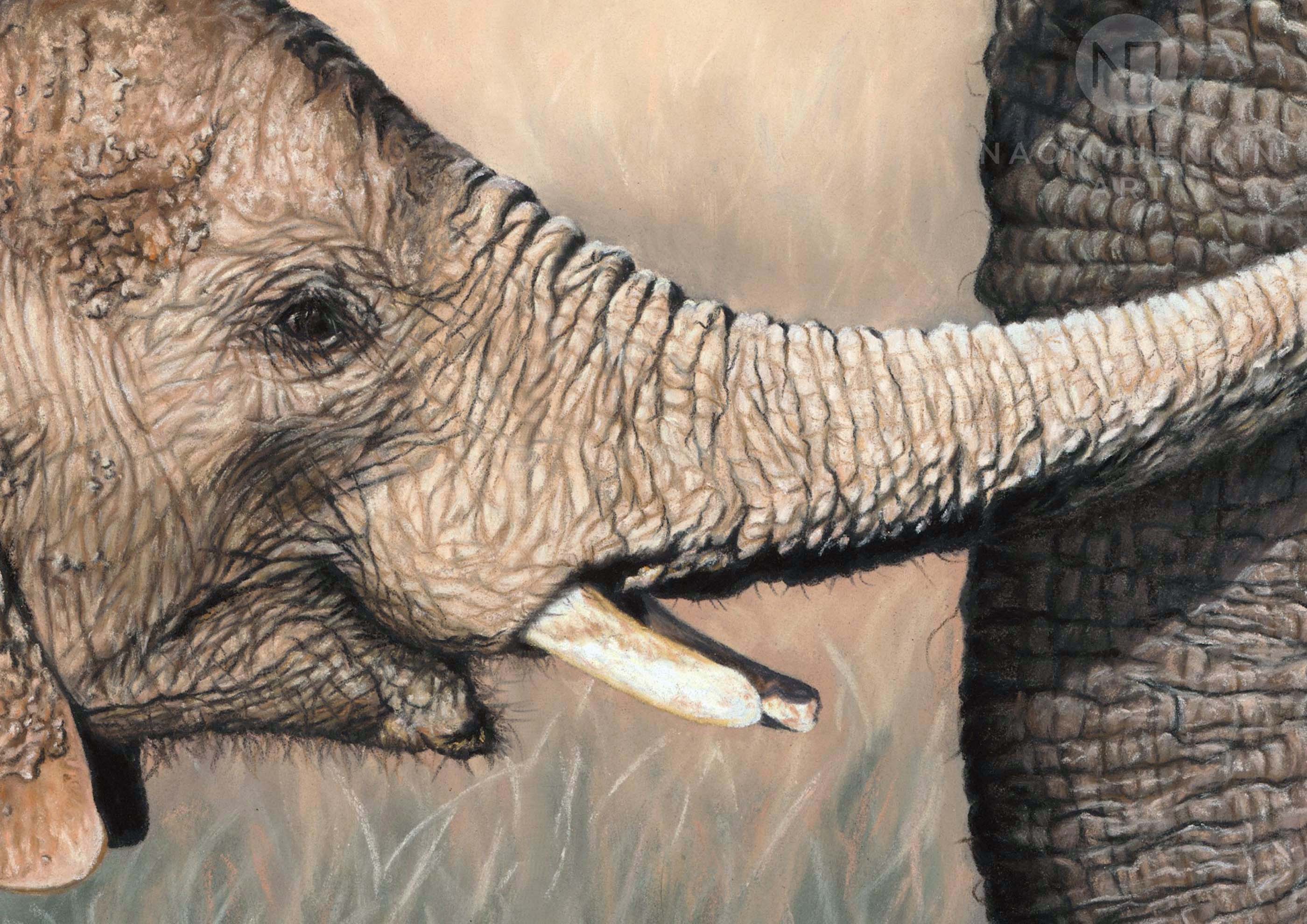 Close up of elephant art by UK wildlife artist Naomi Jenkin.