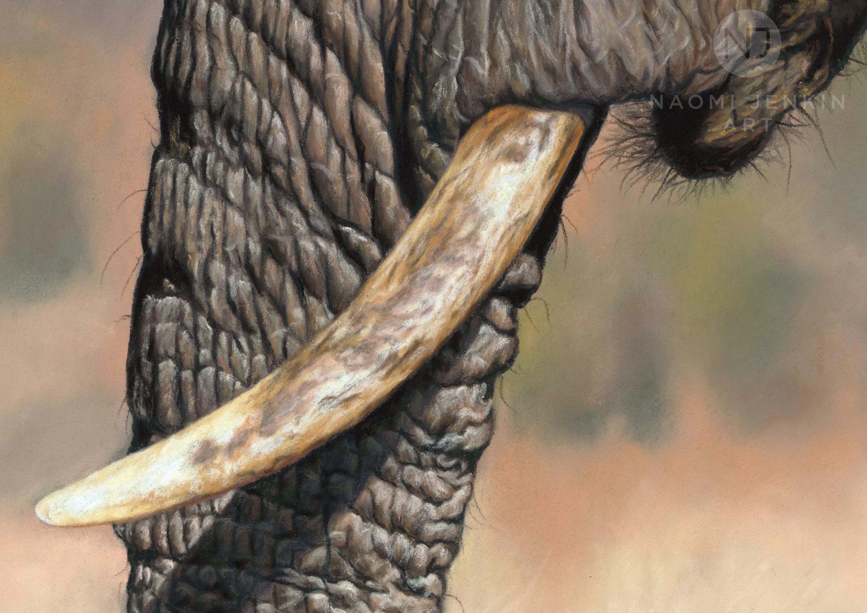 Close up of an African Savanna elephant painting by wildlife artist Naomi Jenkin. 