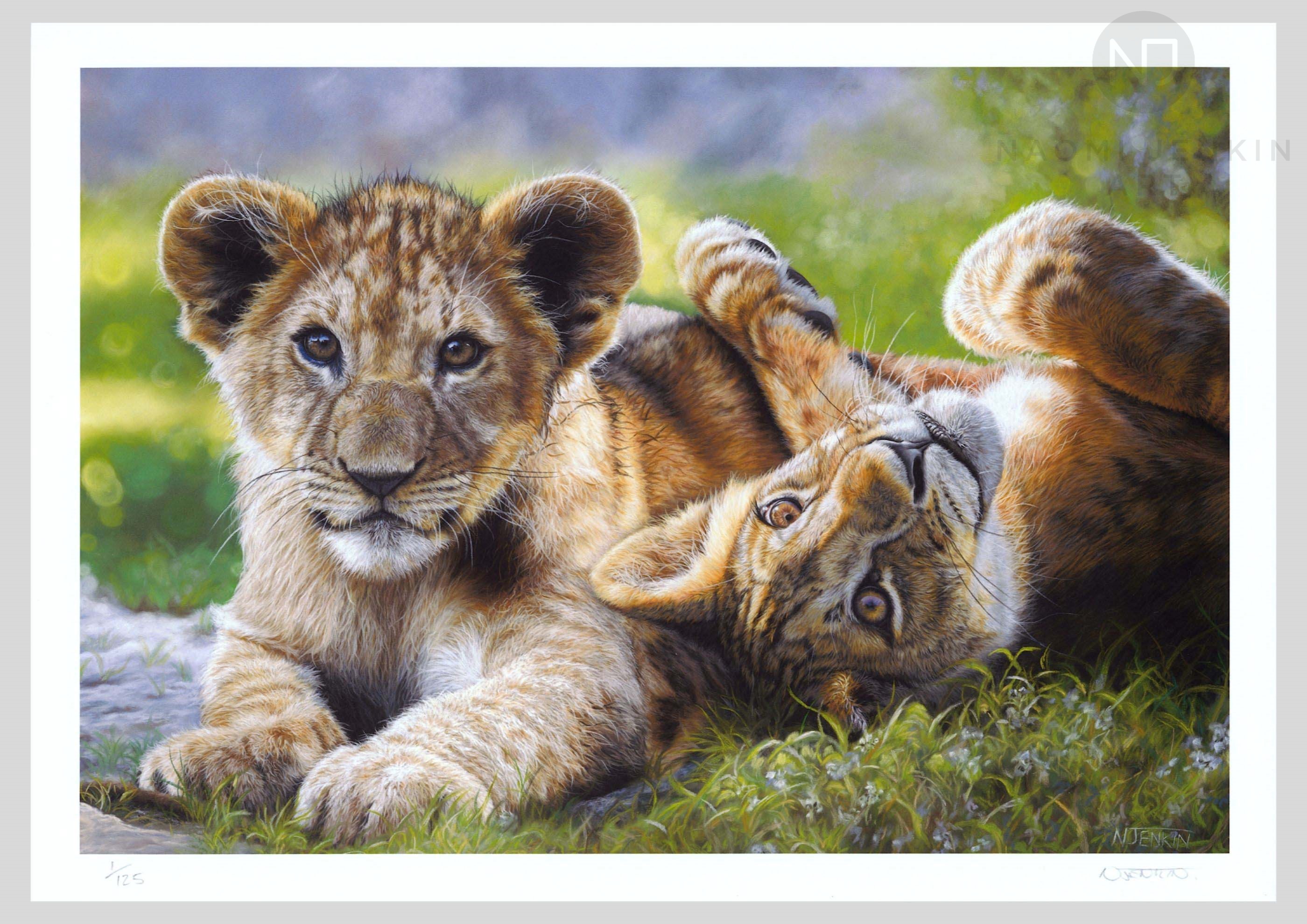 Limited edition fine art print of lion painting by wildlife artist Naomi Jenkin.