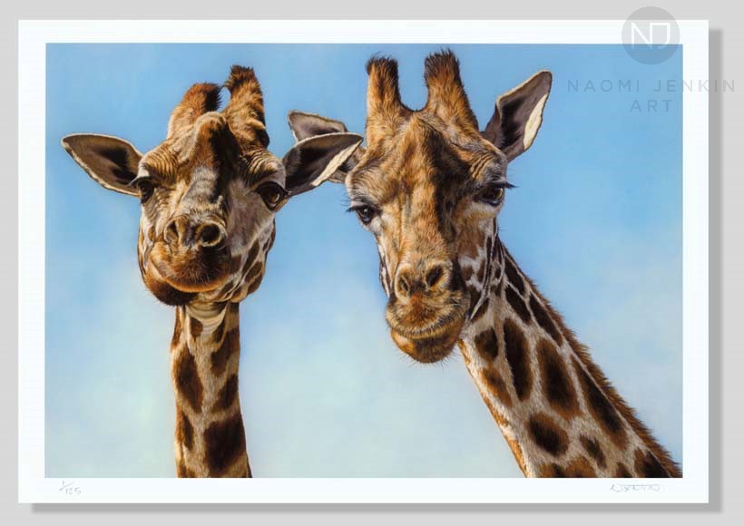 Fine art print of a giraffe painting by wildlife artist Naomi Jenkin.