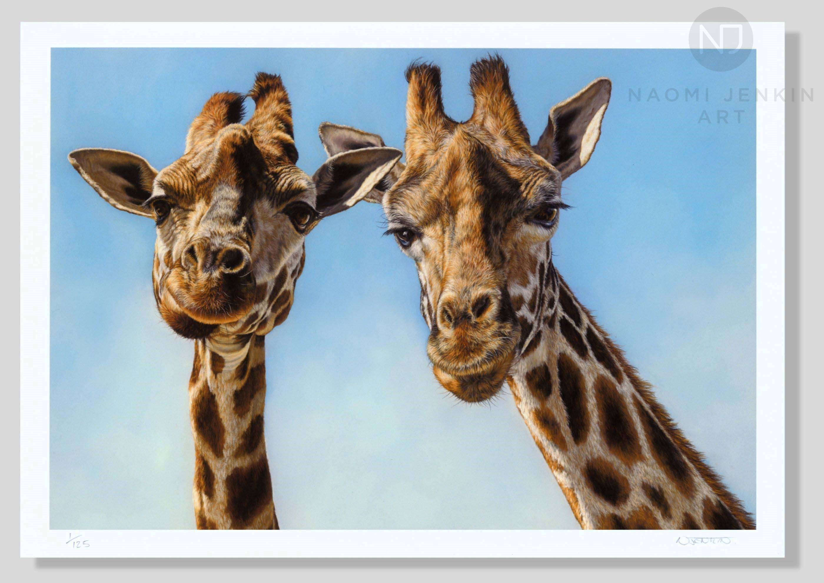 Limited edition fine art print of giraffe painting by wildlife artist Naomi Jenkin.