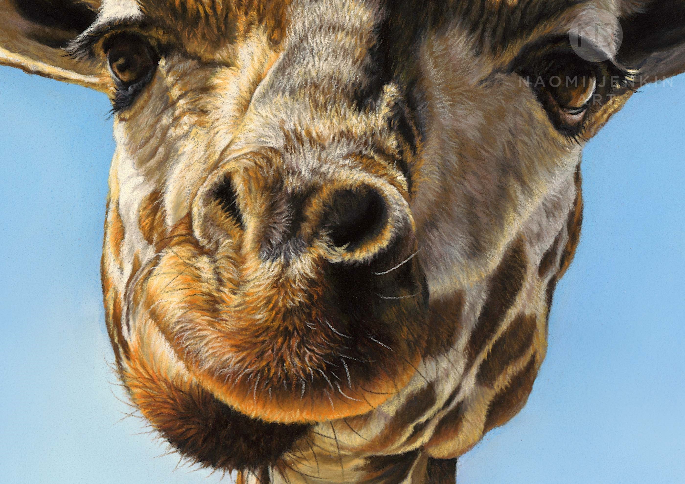 Close up of giraffe painting by wildlife artist Naomi Jenkin.