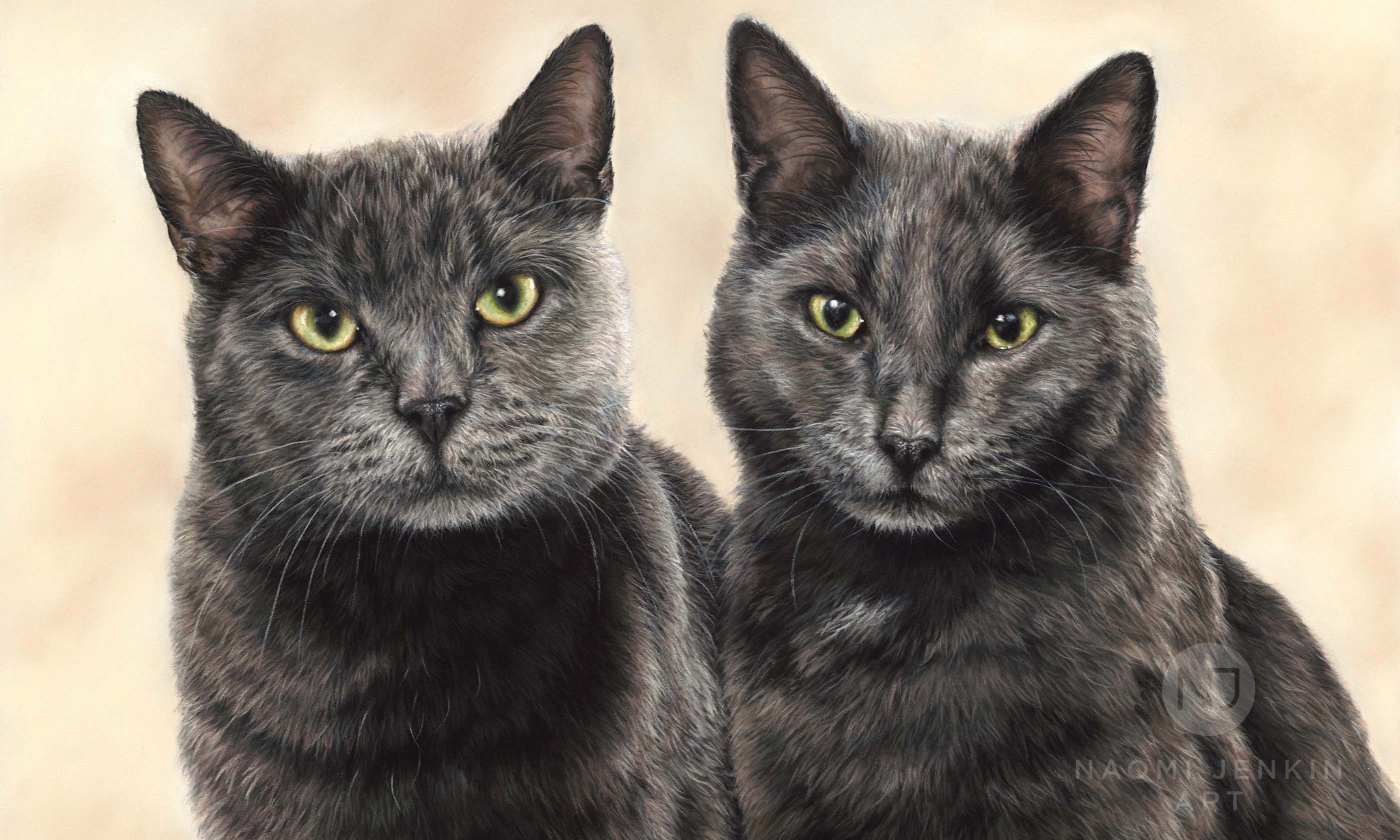 Portrait of cats Neo and Nala