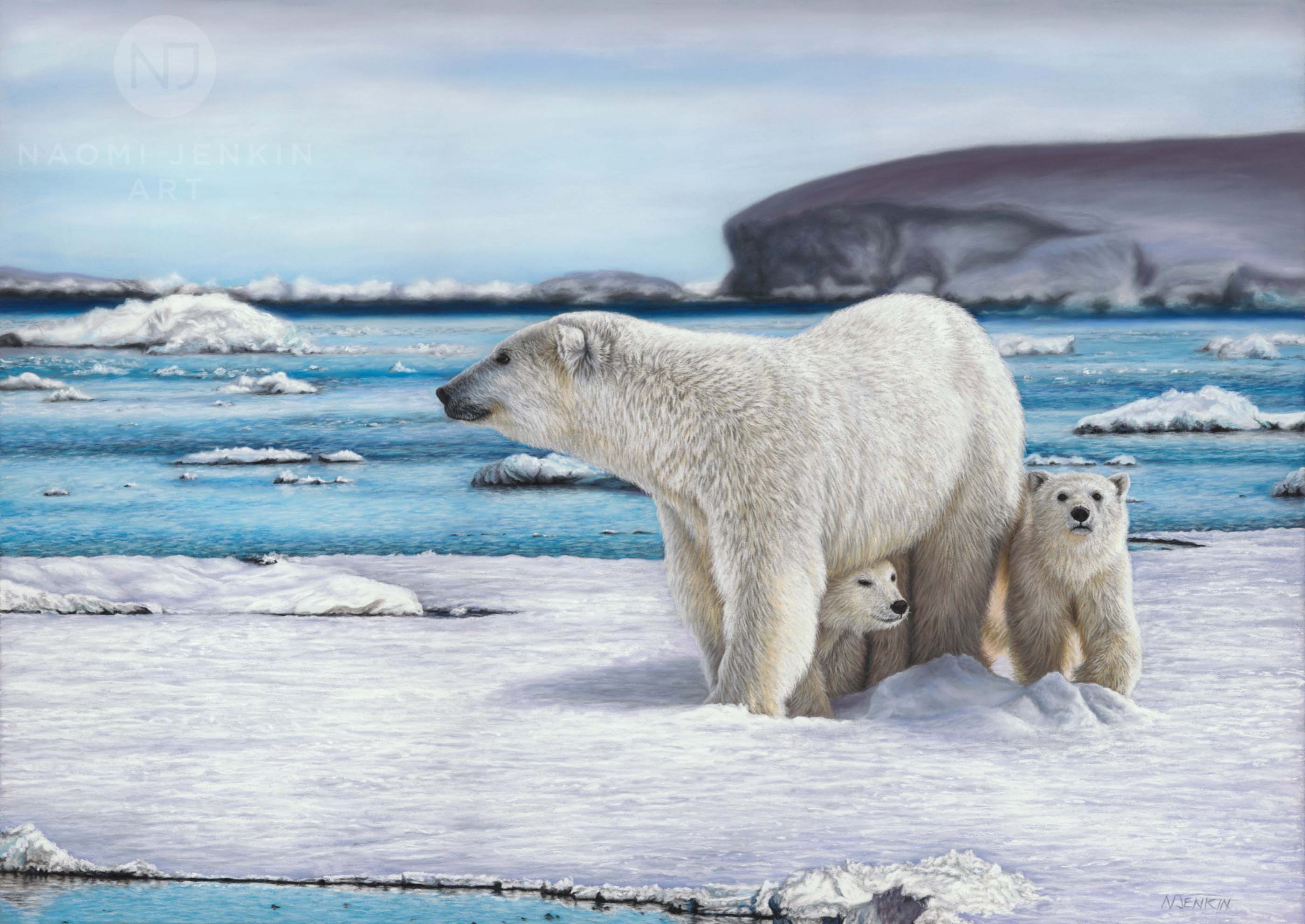 Polar bear painting by wildlife artist Naomi Jenkin.