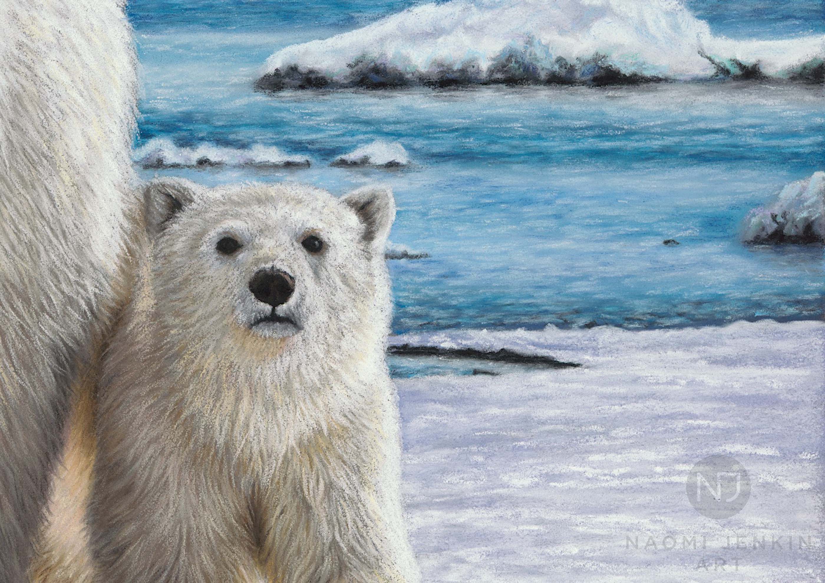 Close up of polar bear art by UK wildlife artist Naomi Jenkin.