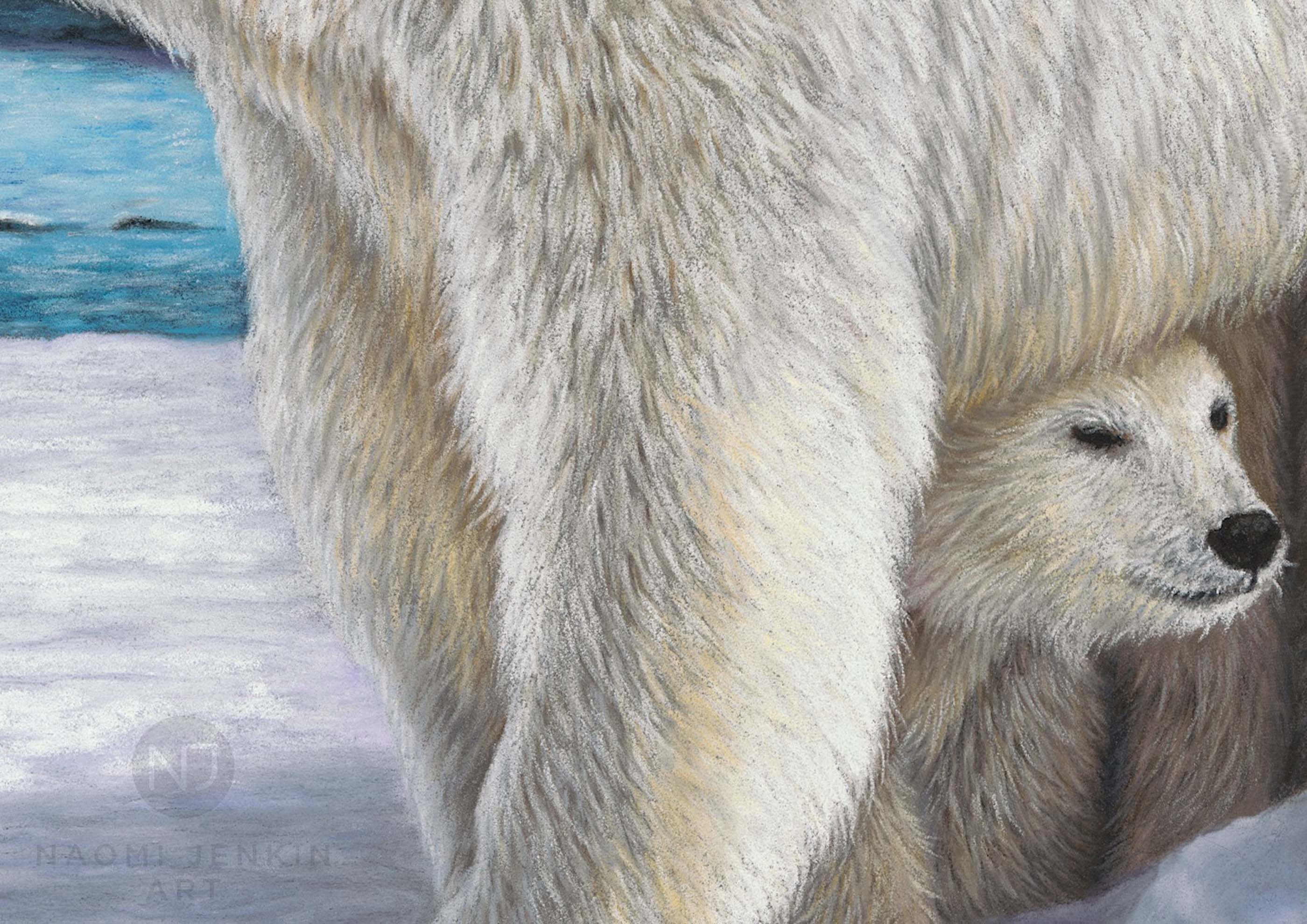 Close up of polar bear drawing by  British wildlife artist Naomi Jenkin.
