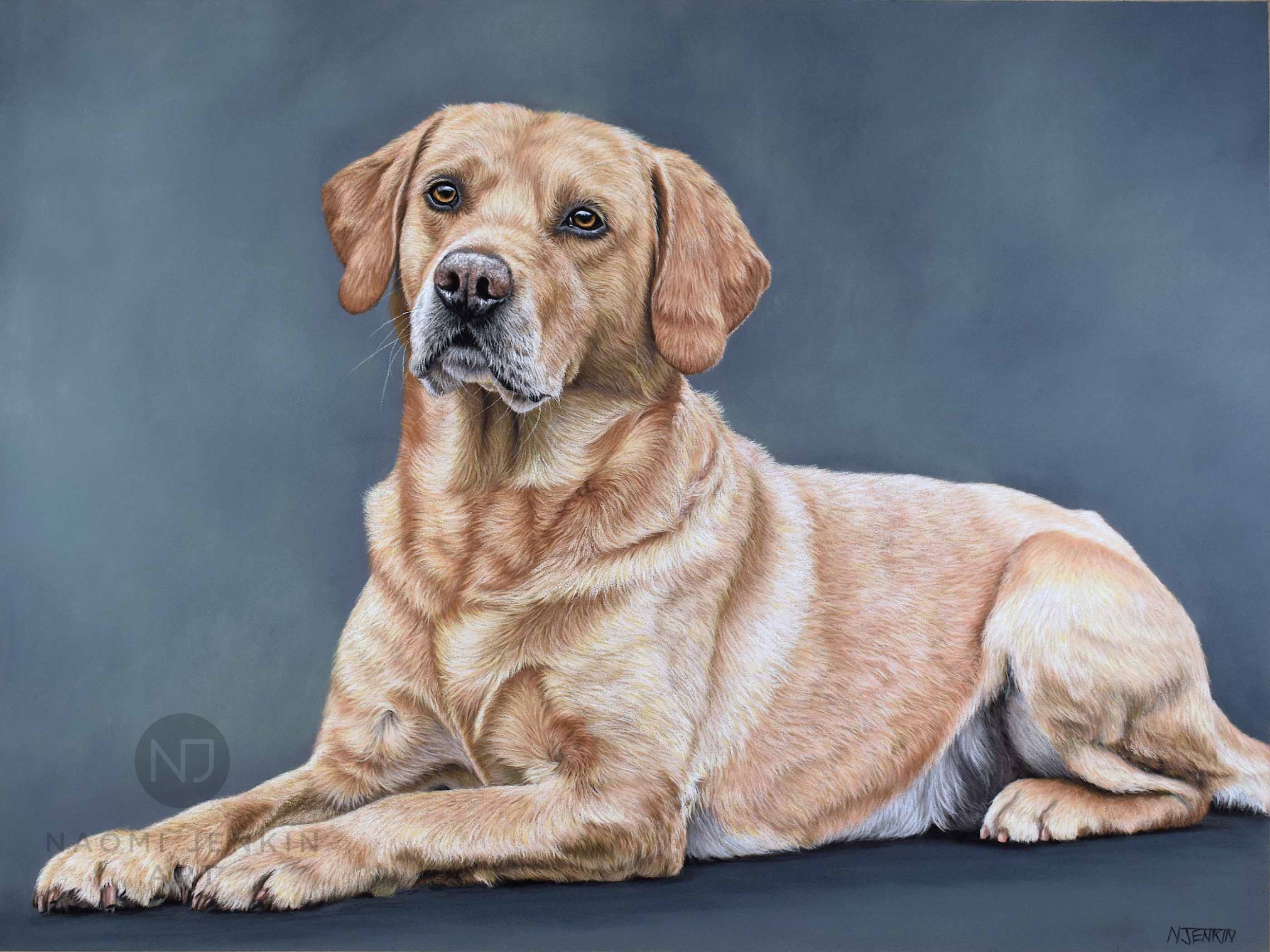 Labrador portrait by pet portrait artist Naomi Jenkin Art. 