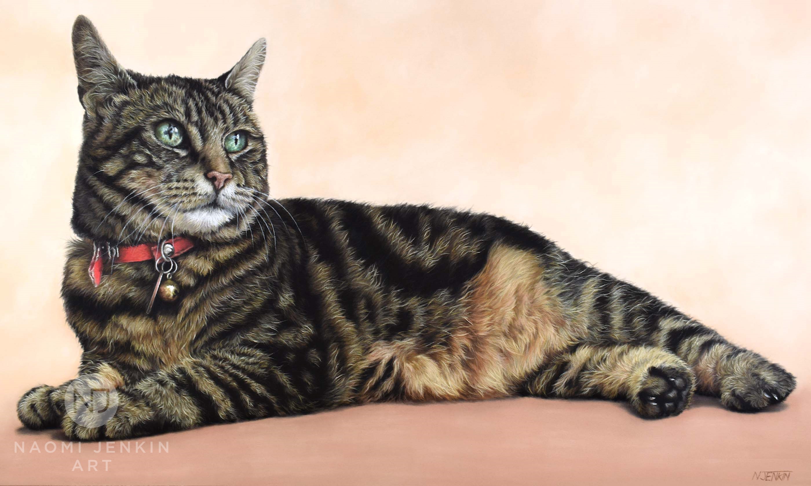 Portrait of Tammy the tabby cat