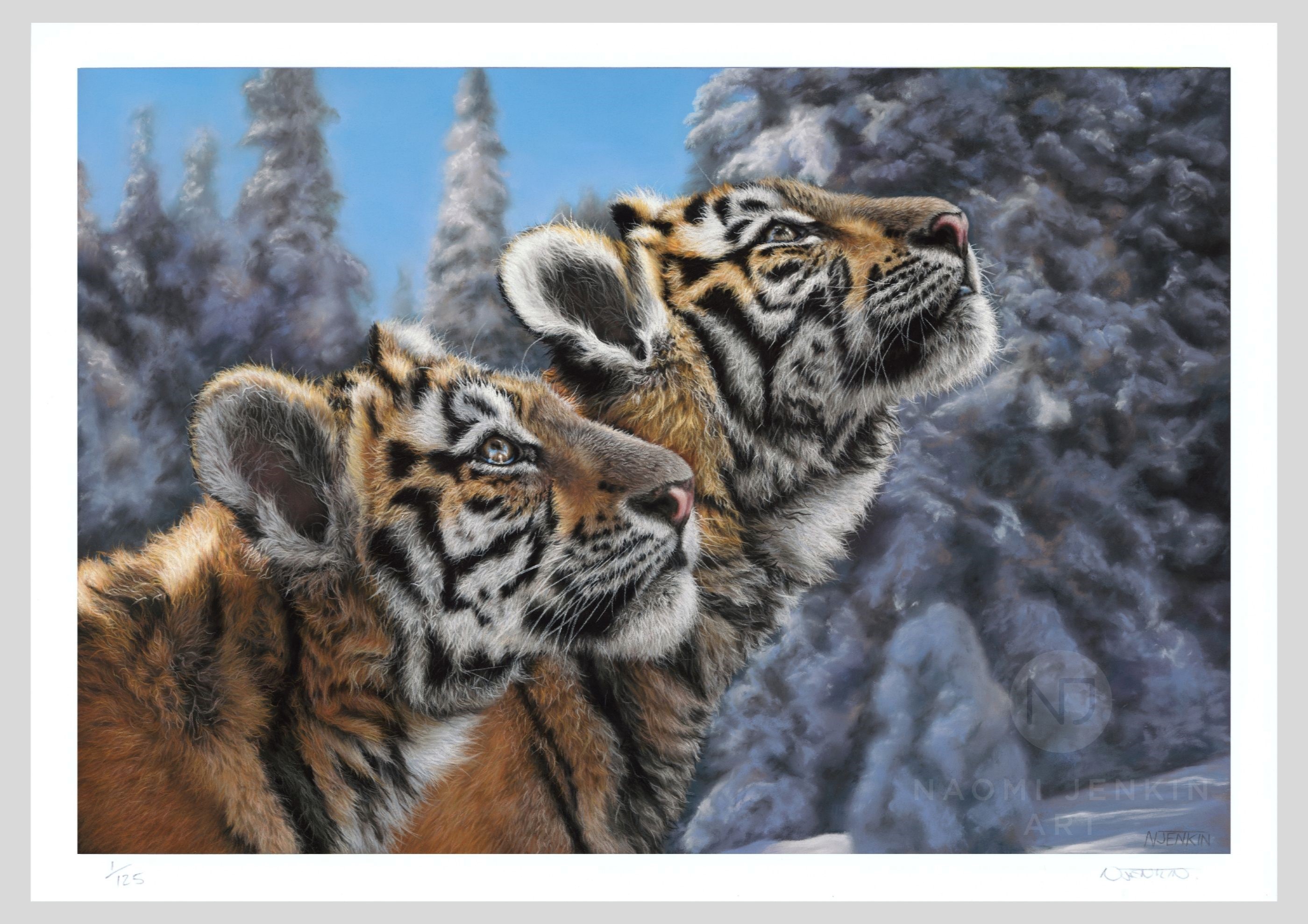 Tiger art by Naomi Jenkin Art. Limited edition fine art print of two Amur tiger cubs. 
