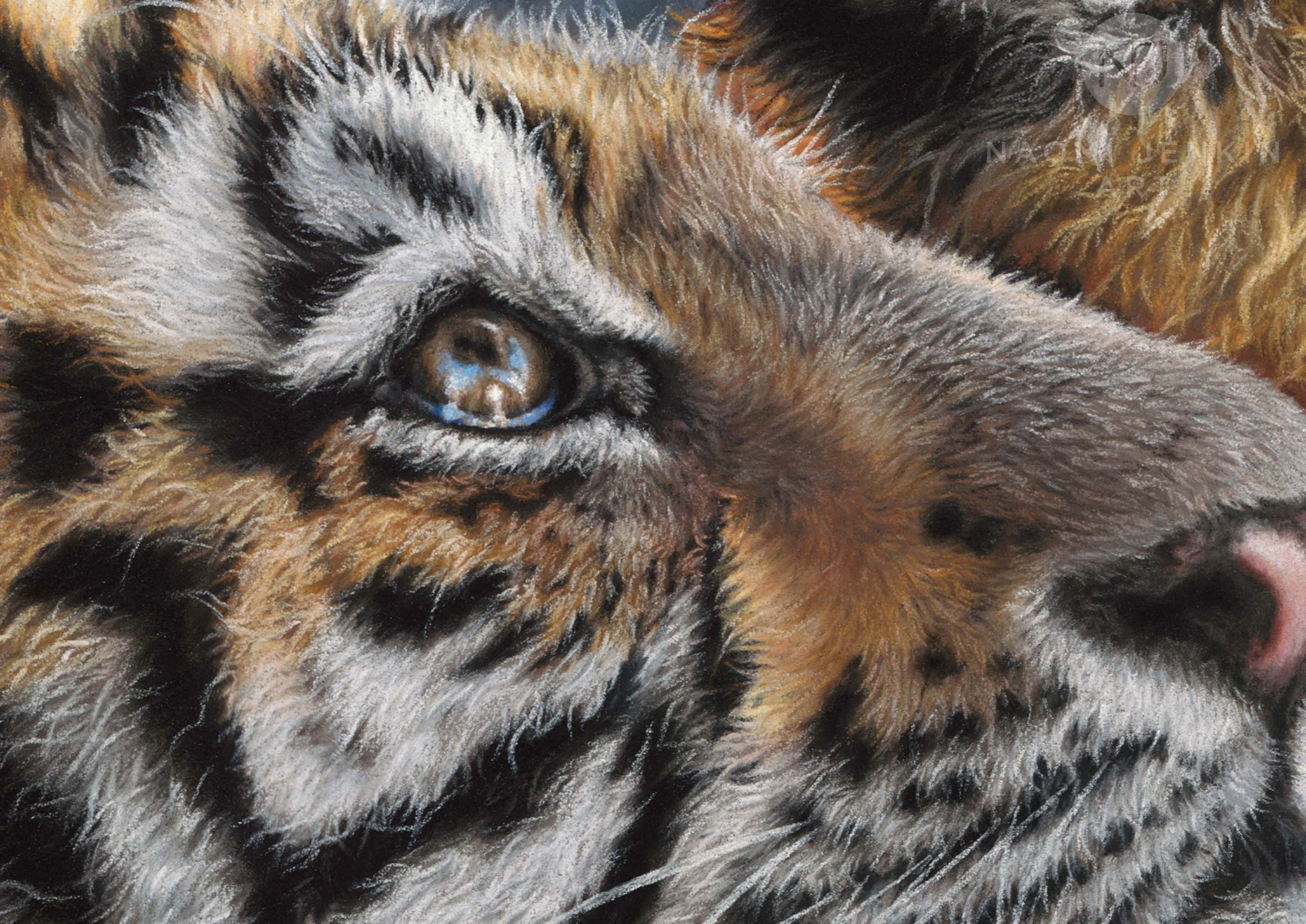 Close up of Amur tiger art by wildlife artist Naomi Jenkin.