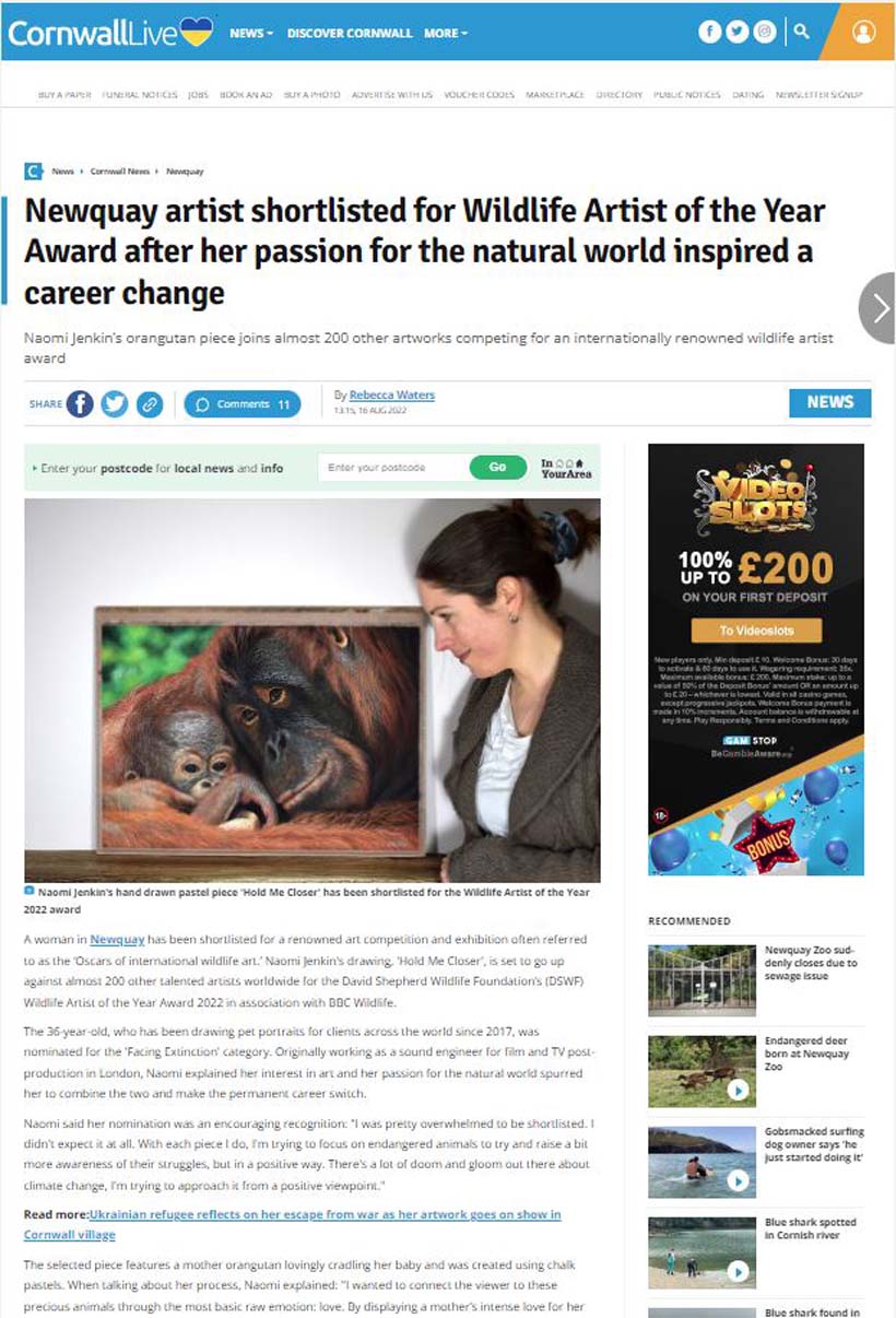 Cornwall Live feature of Naomi Jenkin Art.