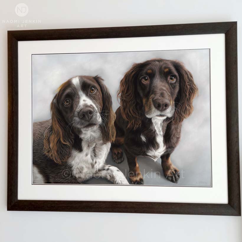 Dog portrait of two spaniels drawn by Naomi Jenkin Art