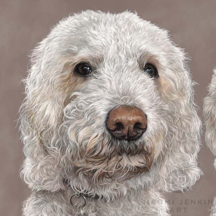 Labradoodle portrait by dog portrait artist Naomi Jenkin. 