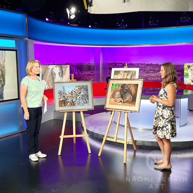 Naomi Jenkin featured on BBC Spotlight