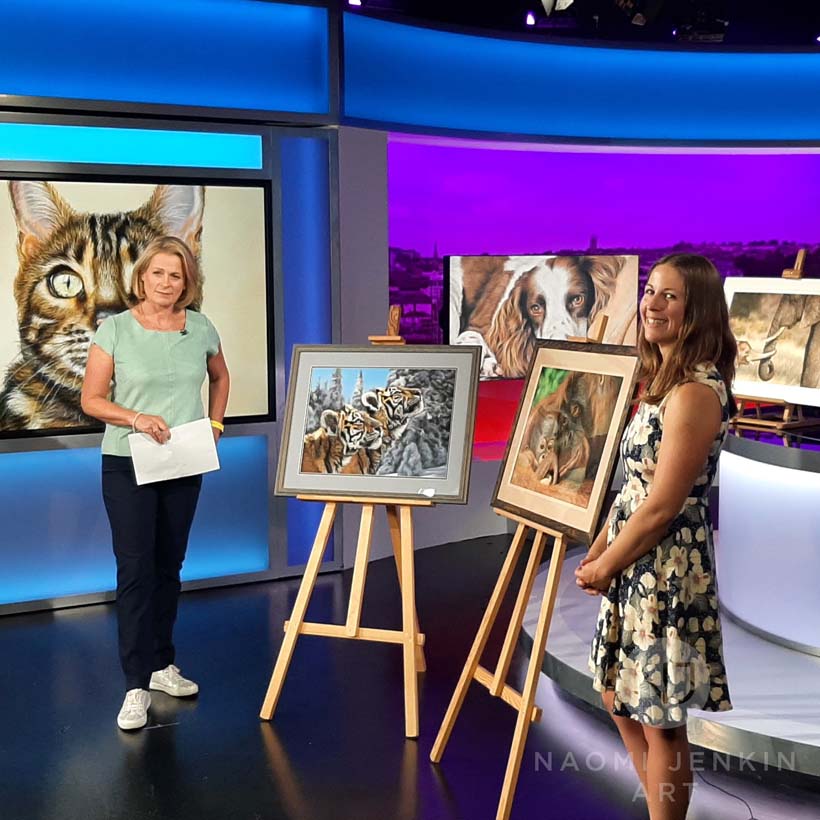 Naomi Jenkin featured on BBC Spotlight