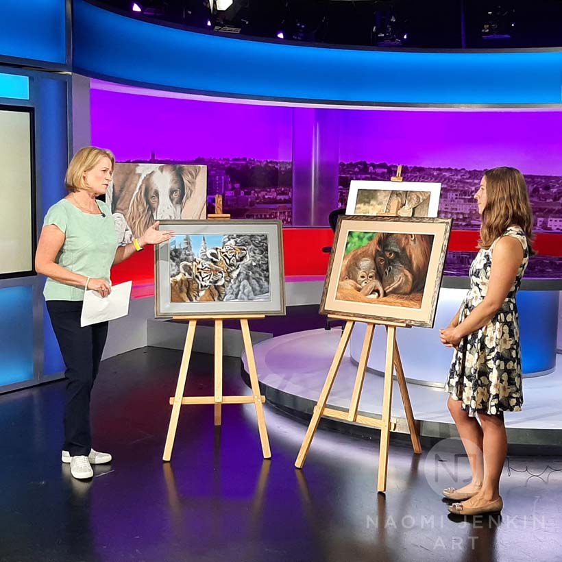 Naomi Jenkin featured on BBC Spotlight