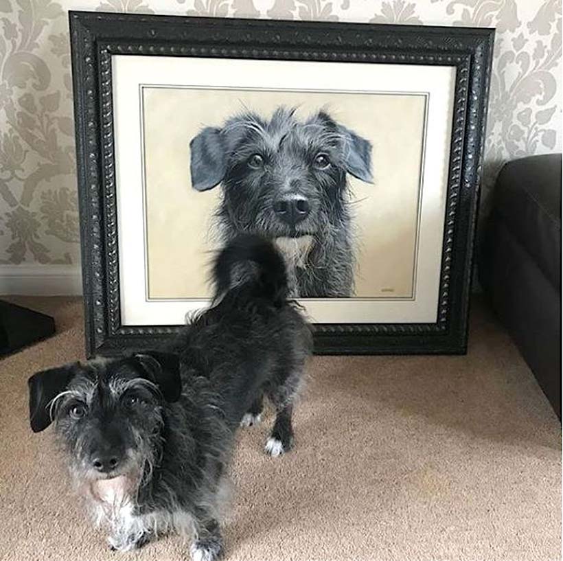 Pet portrait by Naomi Jenkin Art. 