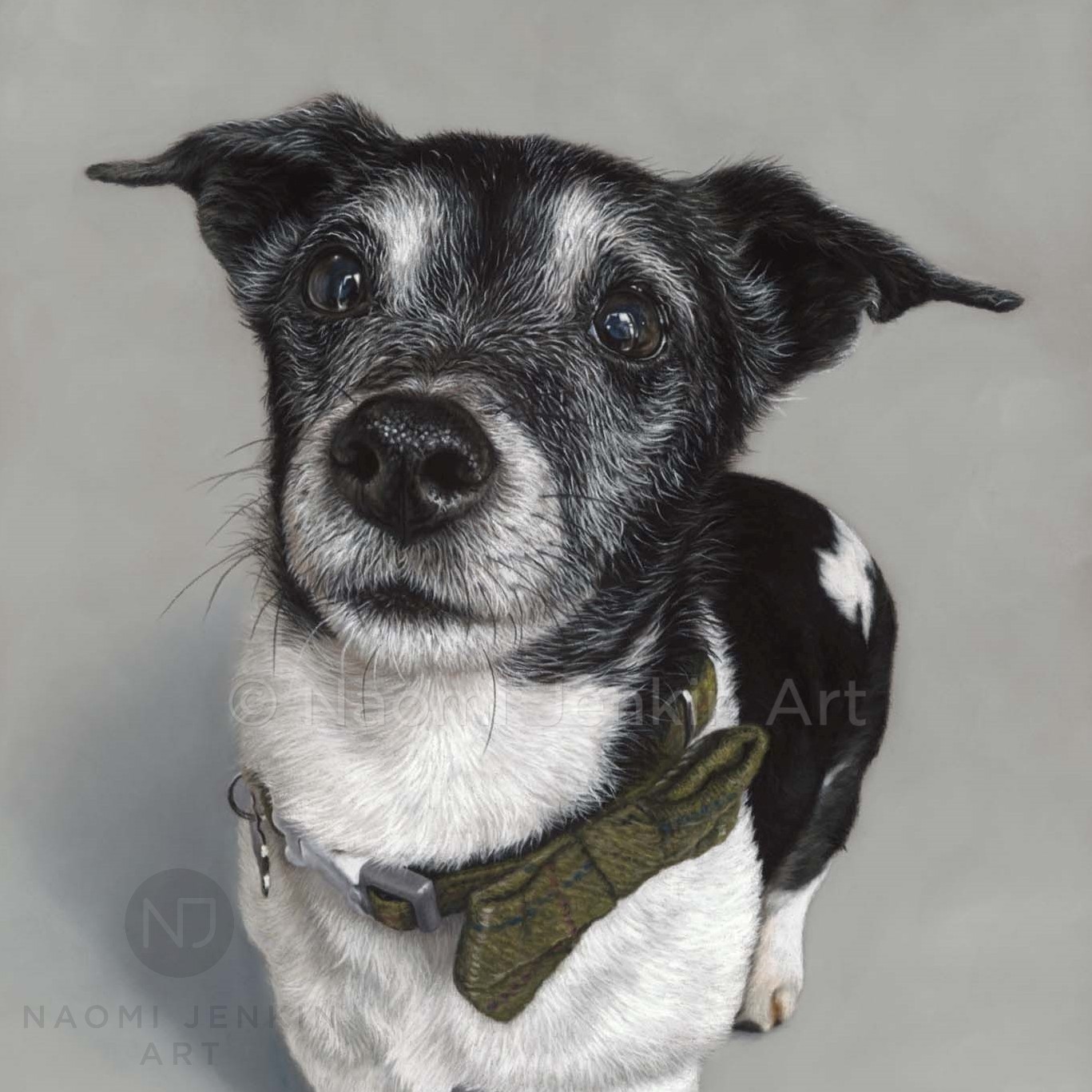 Jack Russell terrier portrait by dog portrait artist Naomi Jenkin. 