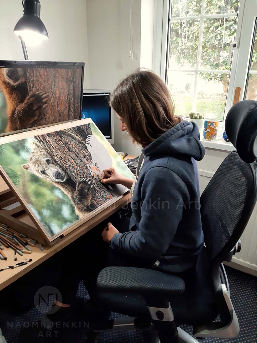 Wildlife artist Naomi Jenkin drawing a grizzly bear portrait