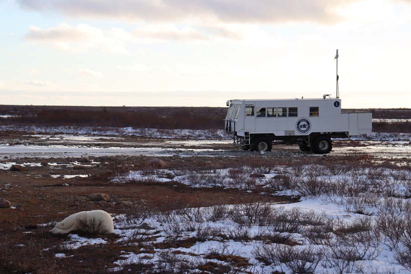 The tundra buggy used for polar bear day trips.