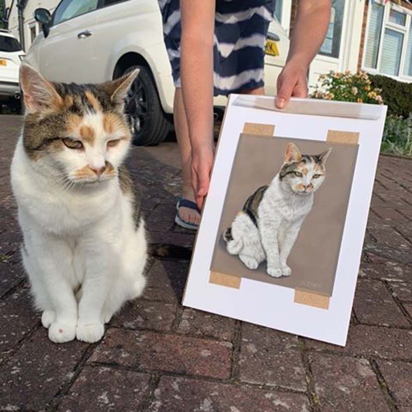 Pet portrait by Naomi Jenkin Art. 