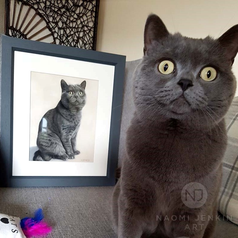 Pet portrait by Naomi Jenkin Art. 