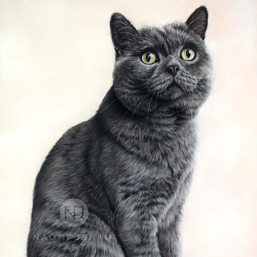 Cat portrait by Naomi Jenkin Art. 