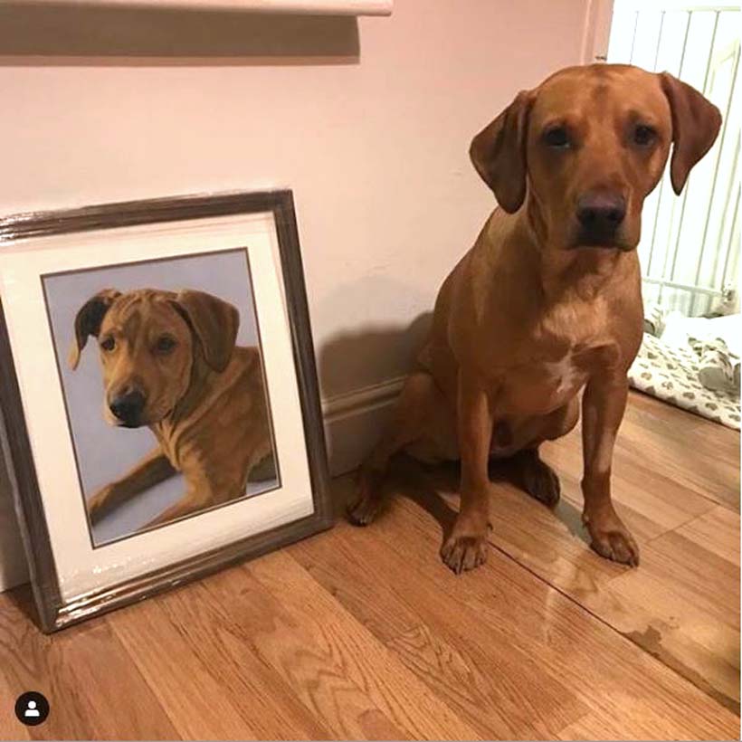 Pet portrait by Naomi Jenkin Art. 