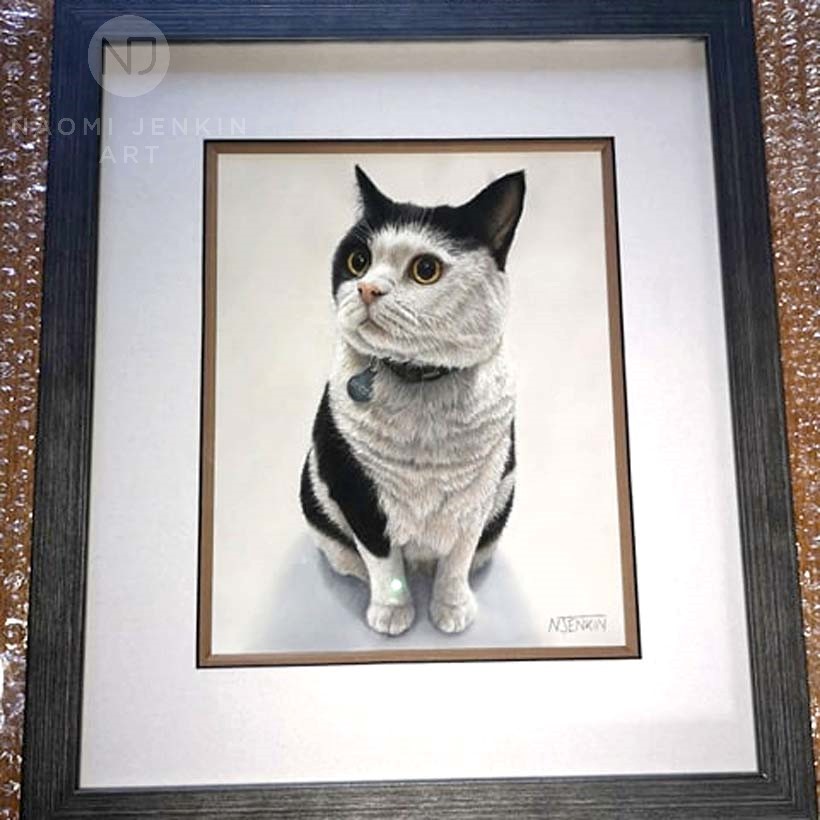 Framed cat portrait by pet portrait artist Naomi Jenkin Art. 