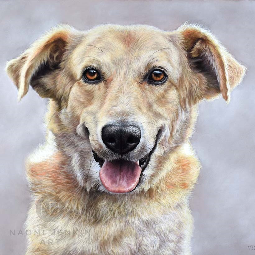 Romanian rescue dog portrait by pet portrait artist Naomi Jenkin. 