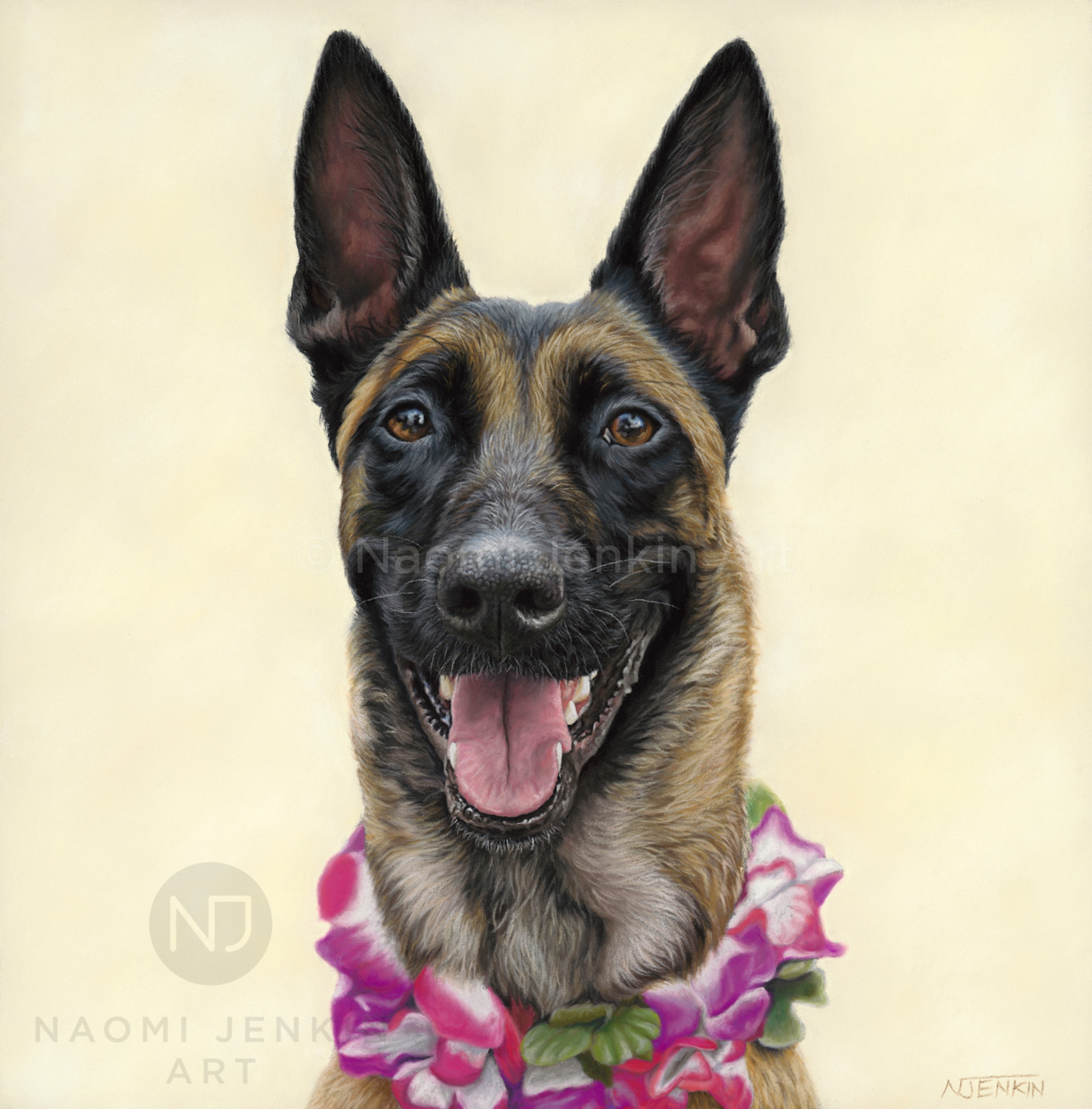 Malinois dog portrait by pet portrait artist Naomi Jenkin. 