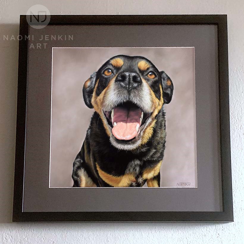 Framed dog portrait by pet portrait artist Naomi Jenkin Art. 