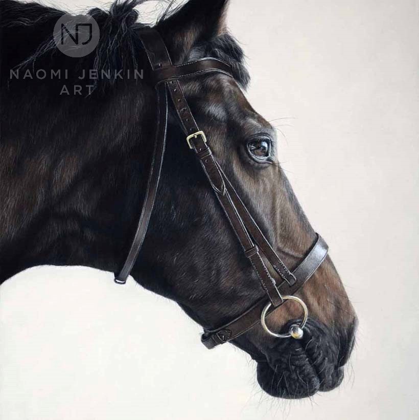 Horse portrait by pet portrait artist Naomi Jenkin. 