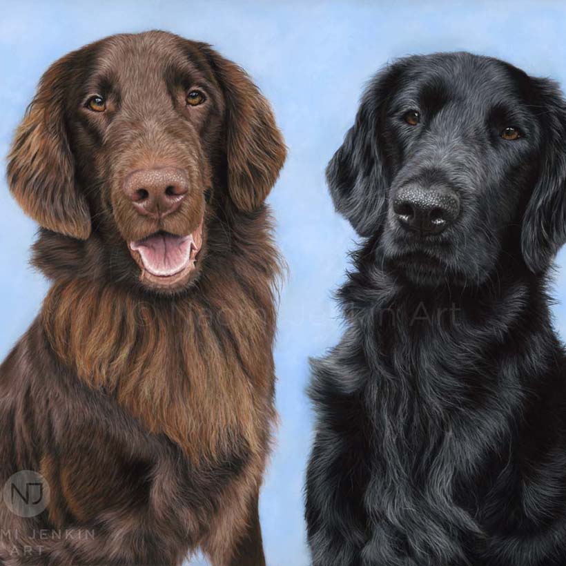 Dog portrait of two flat coated retrievers by Naomi Jenkin Art. 