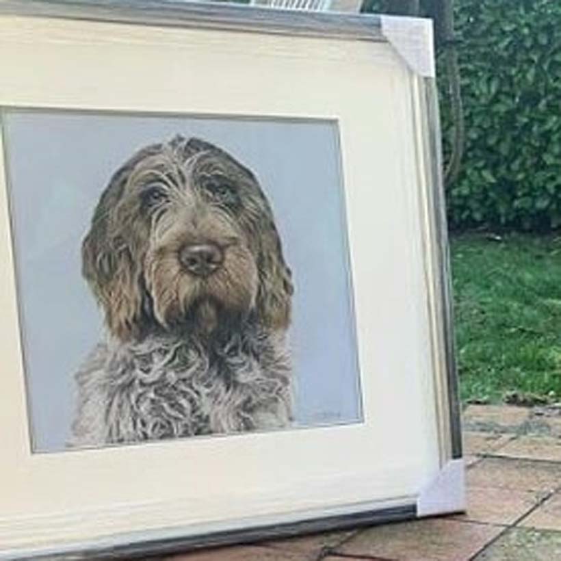 Pet portrait by Naomi Jenkin Art. 
