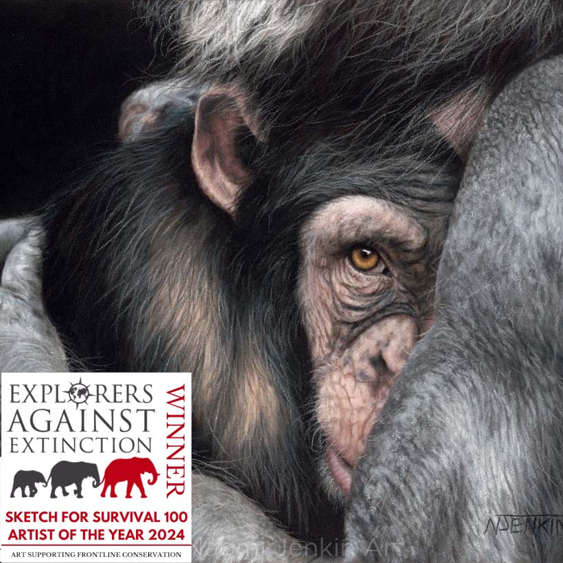 Original chimpanzee drawing 