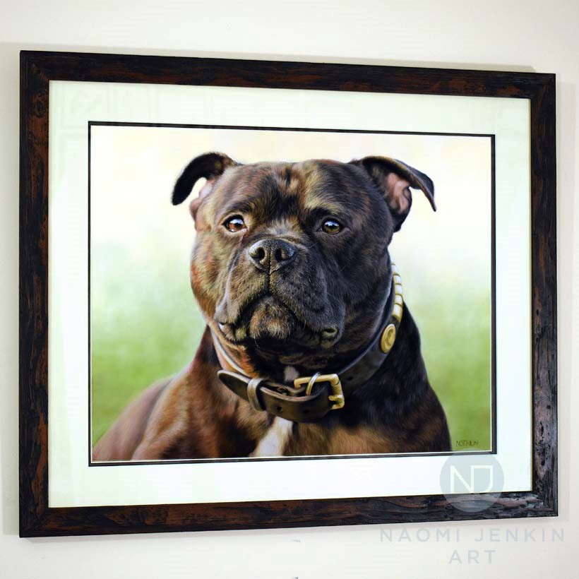Framed dog portrait by pet portrait artist Naomi Jenkin Art. 