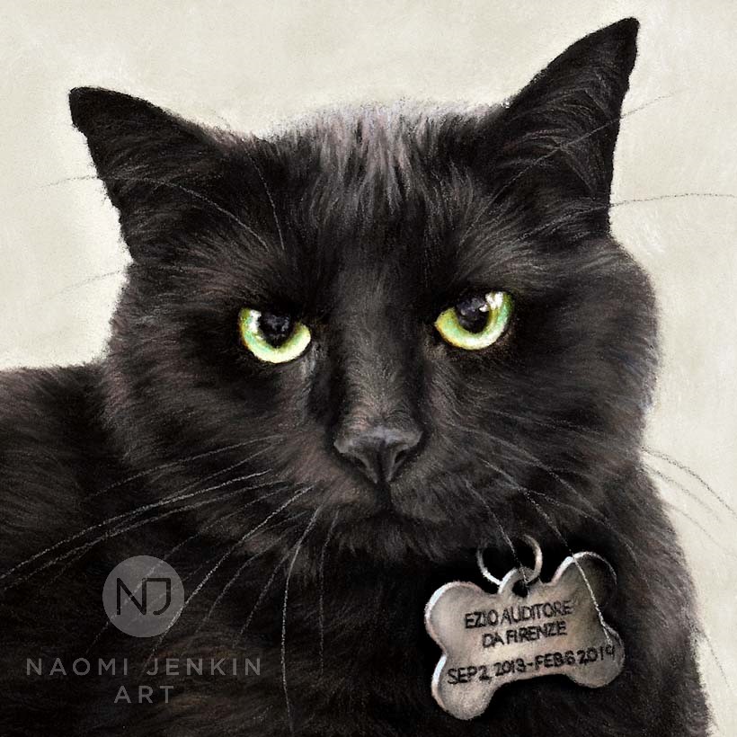 Pet portrait of black cat by Naomi Jenkin Art. 