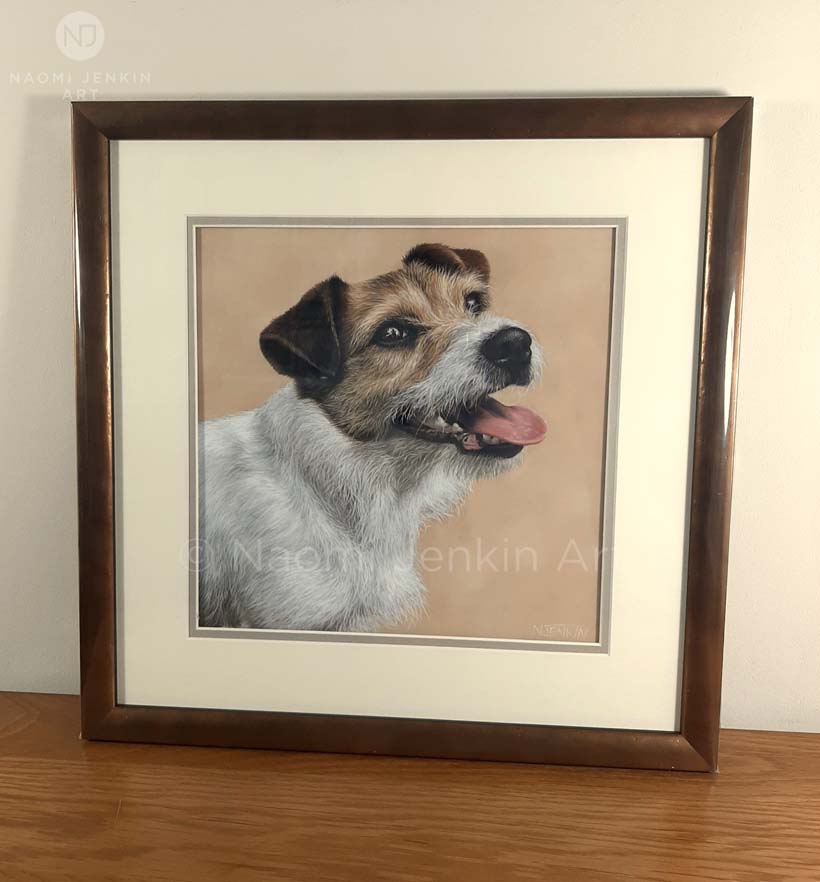 Bespoke dog portrait of a Jack Russell by artist Naomi Jenkin