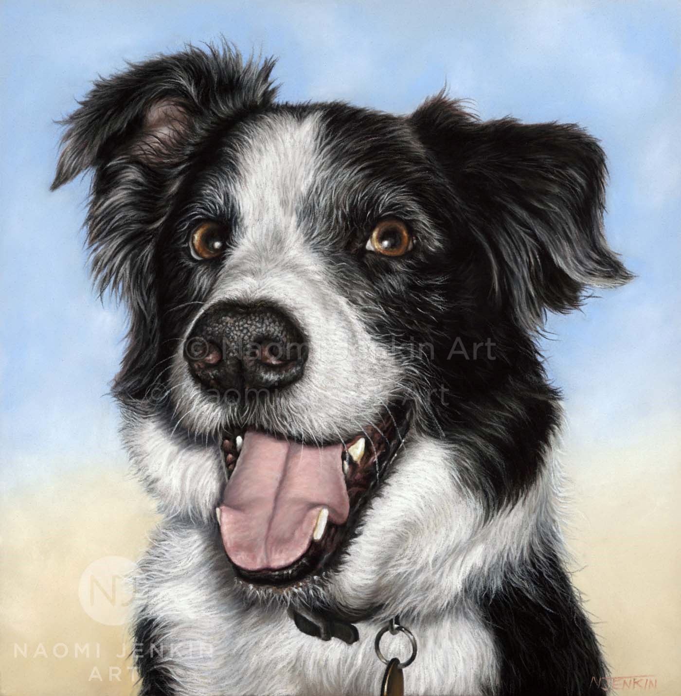 Border collie portrait by dog portrait artist Naomi Jenkin. 