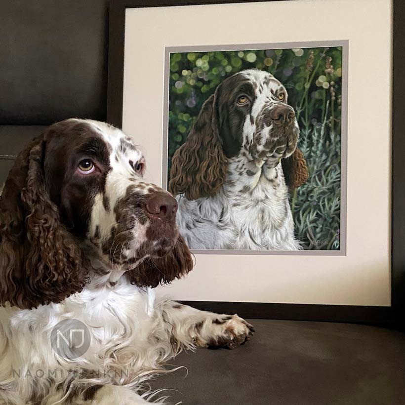 Pet portrait by Naomi Jenkin Art. 