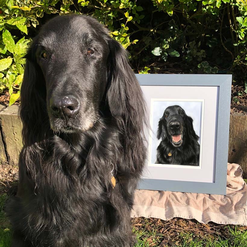 Pet portrait by Naomi Jenkin Art. 