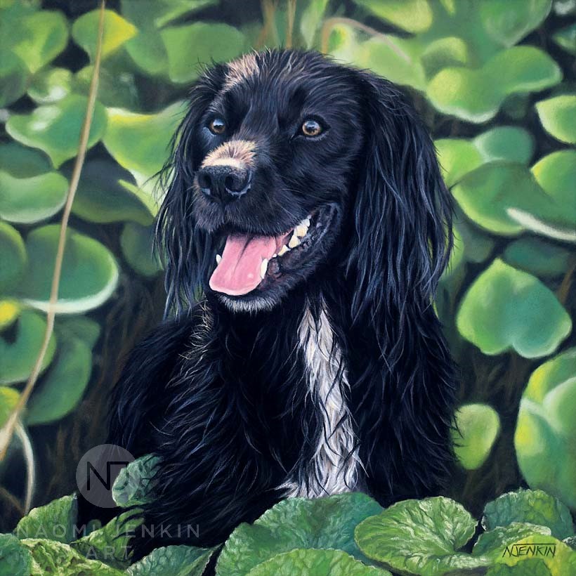 Portrait of Izzy the Cocker Spaniel by Naomi Jenkin Art. 